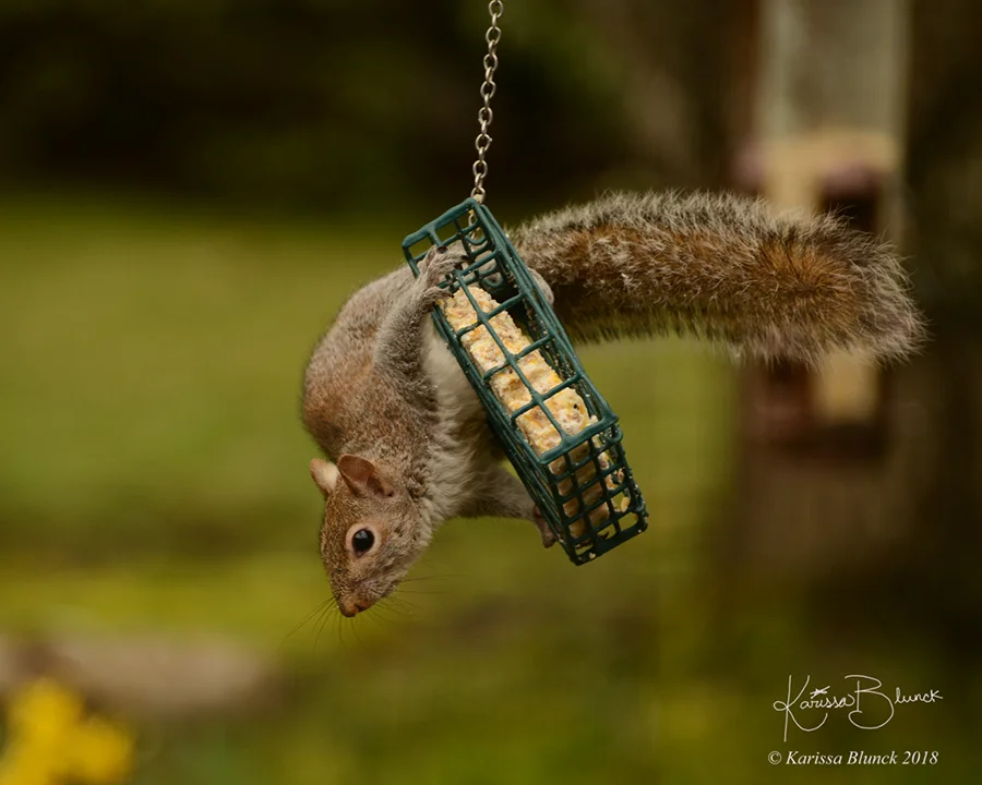 DSC_1714aw.jpg