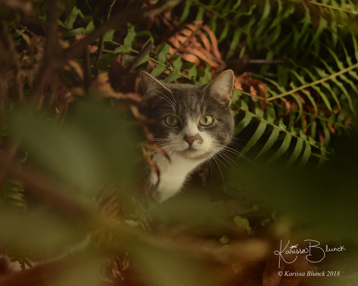 DSC_1790aw.jpg