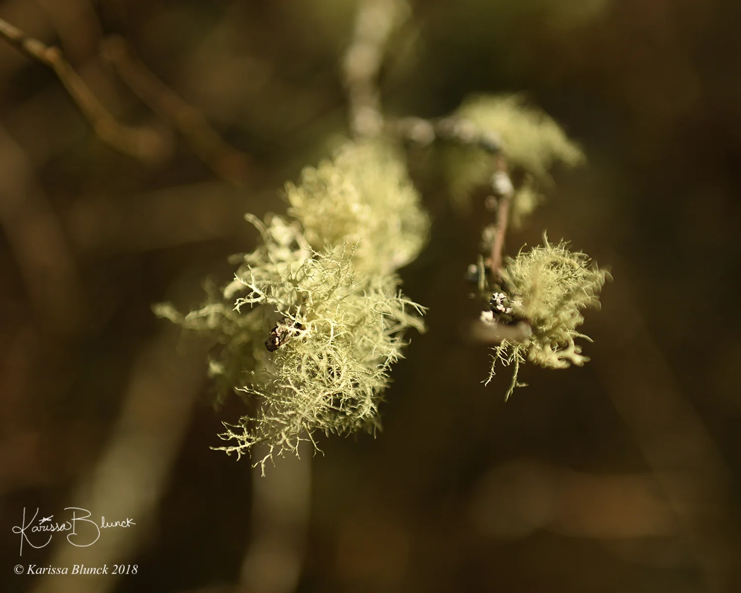 DSC_8080w.jpg