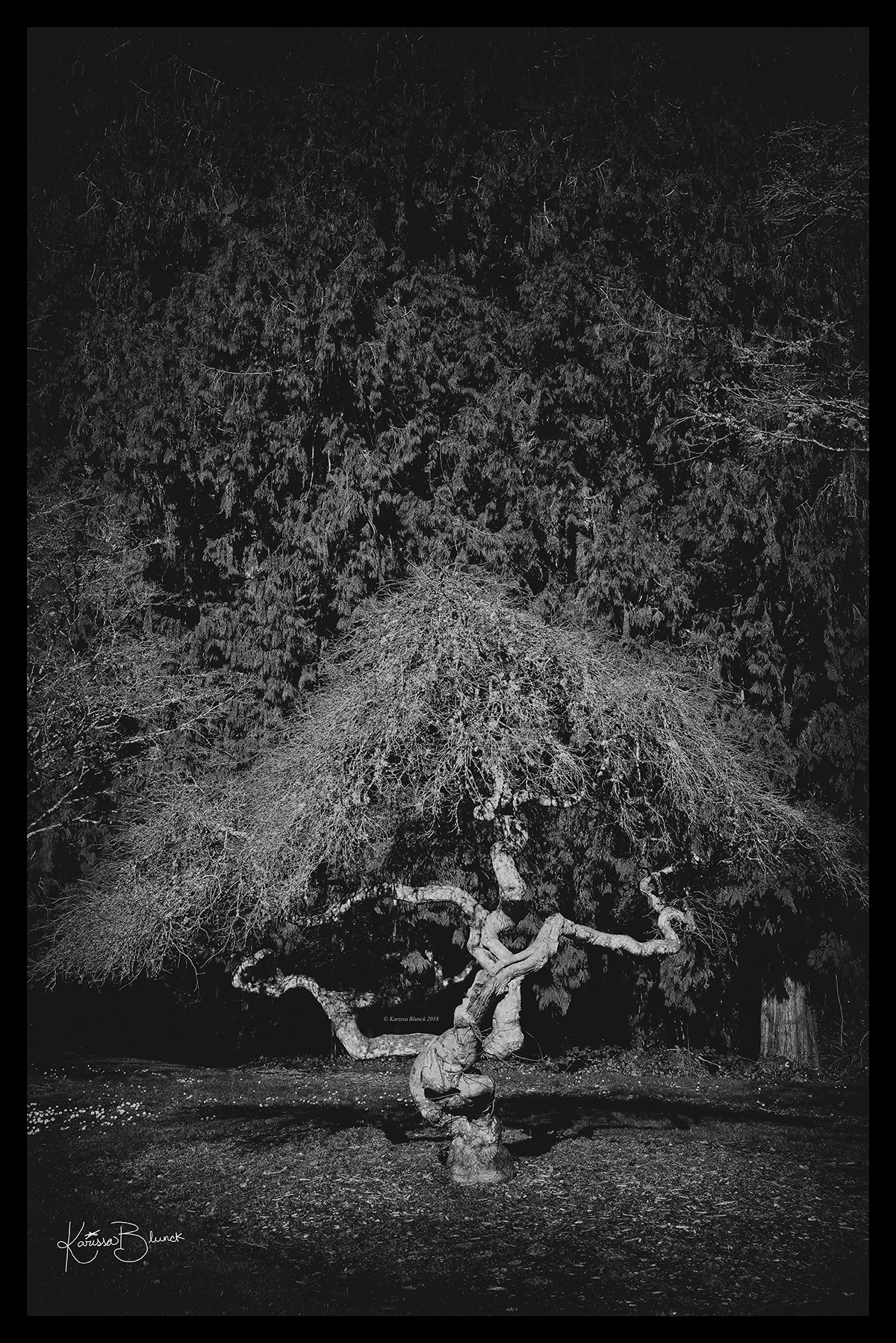 DSC_3318bw.jpg