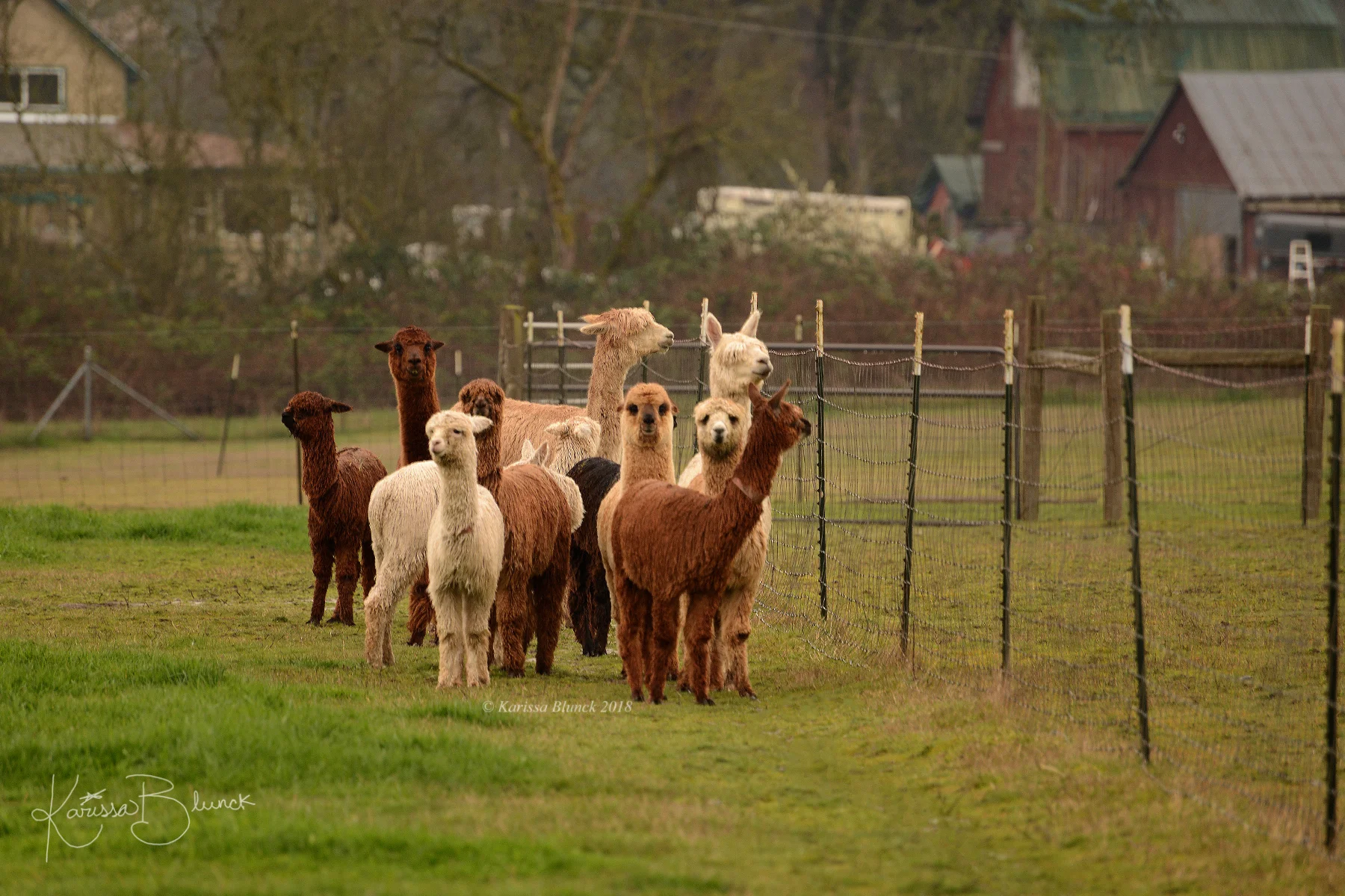 DSC_3552aw.jpg
