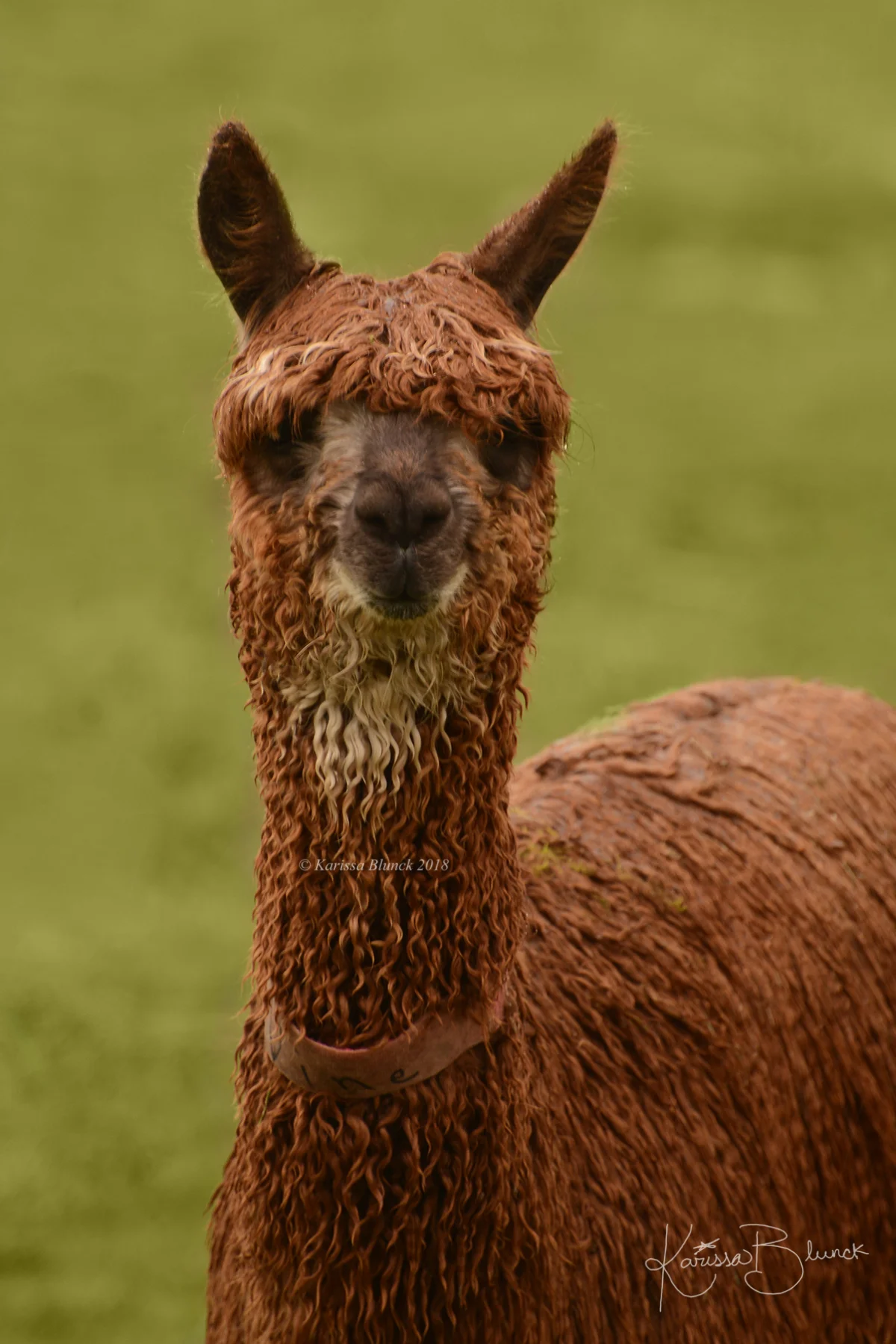 DSC_3608aaw.jpg