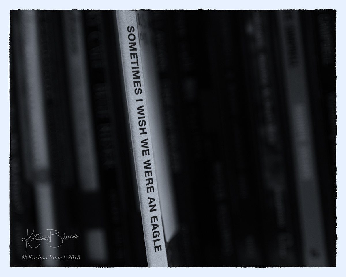 DSC_4175bw.jpg