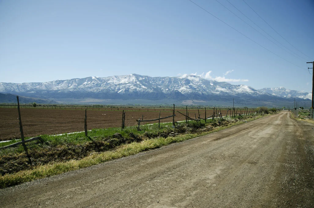 roadtrip6.jpg