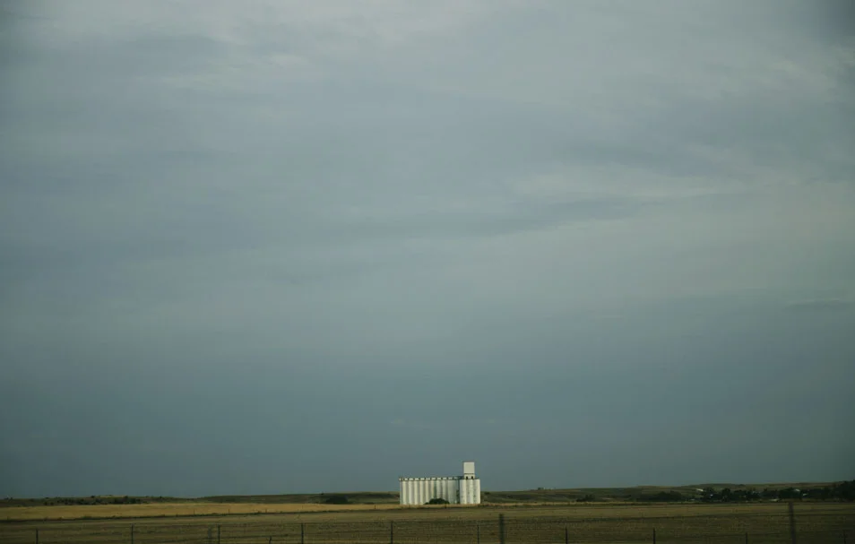 fieldcloud5.jpg