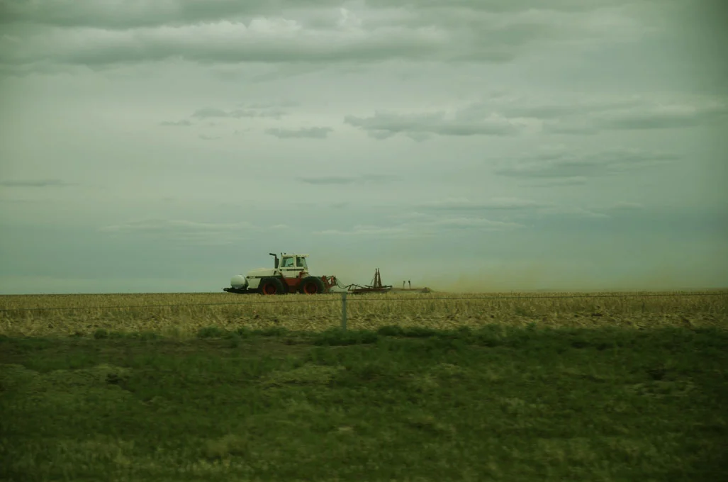 fieldcloud4.jpg