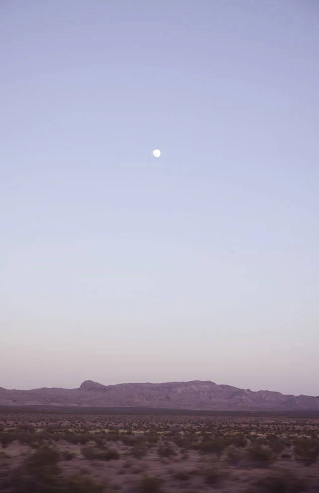 roadtrip4.jpg