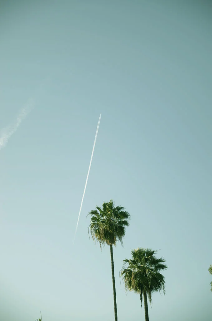 skypalm.jpg