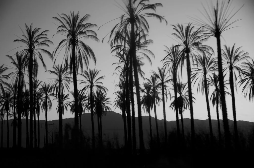 cali4.jpg