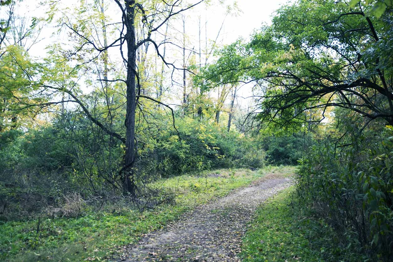 grantpark3.jpg