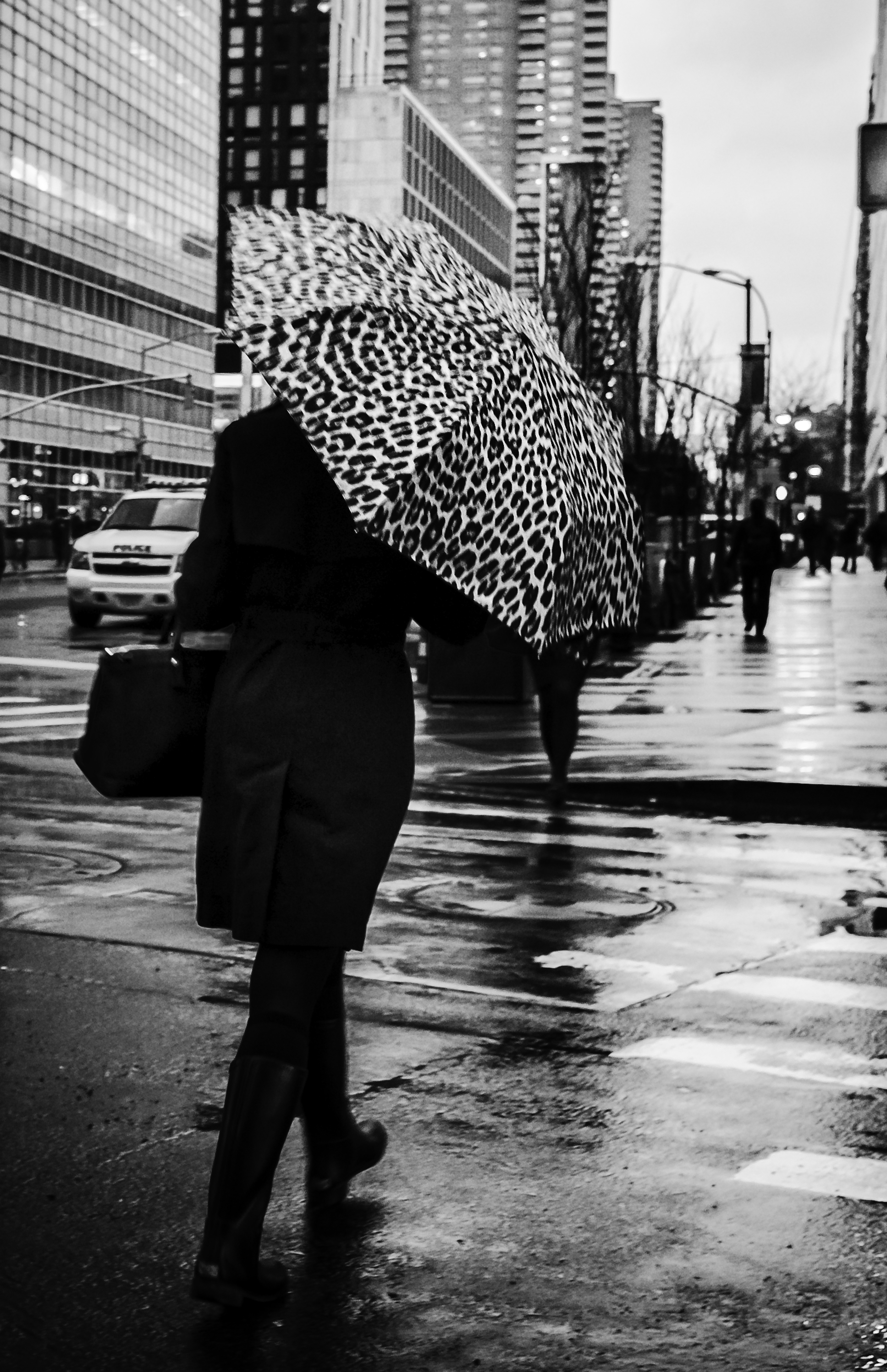 Leopard Umbrella.jpg