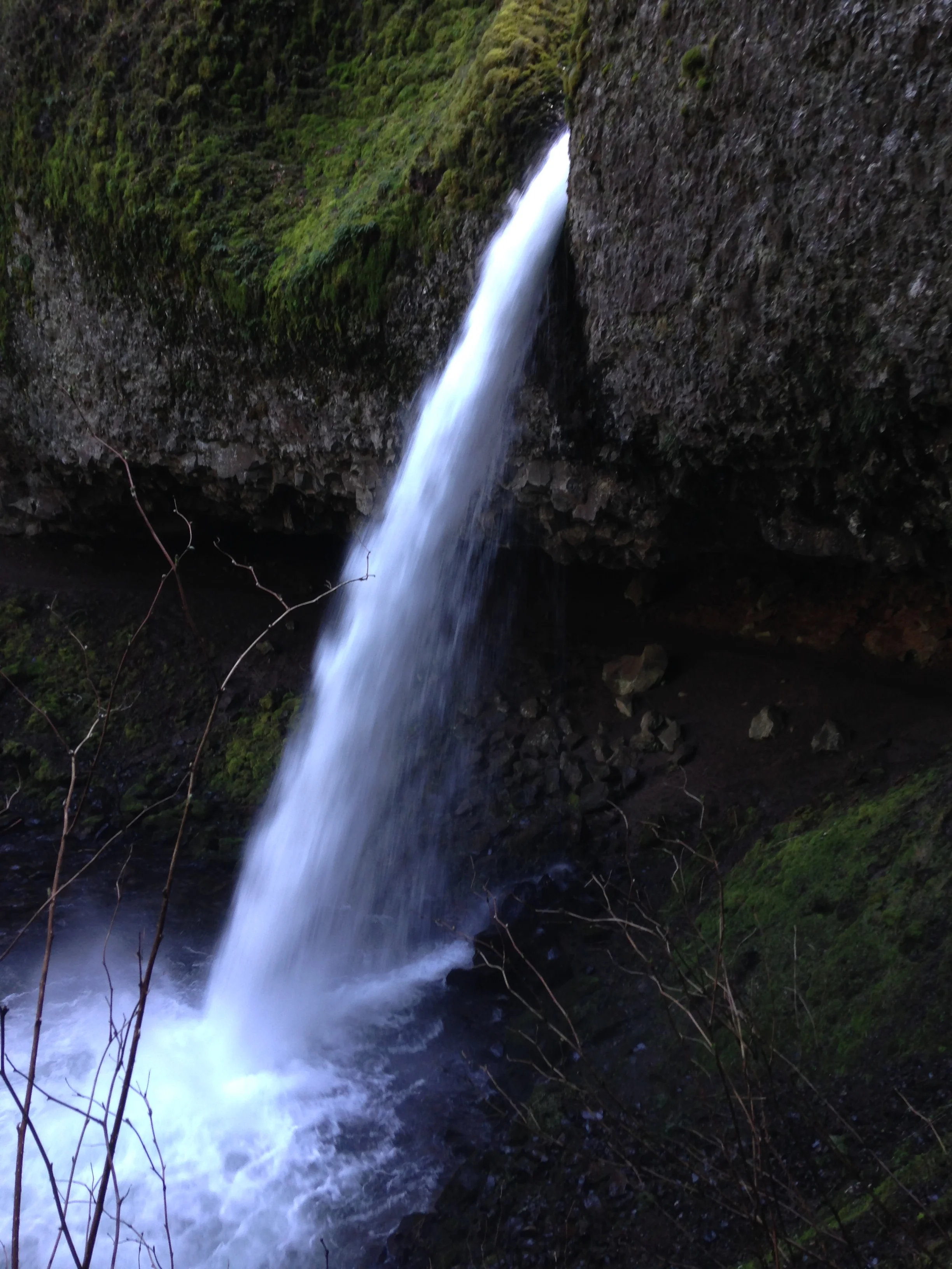 IMG_8268.jpg