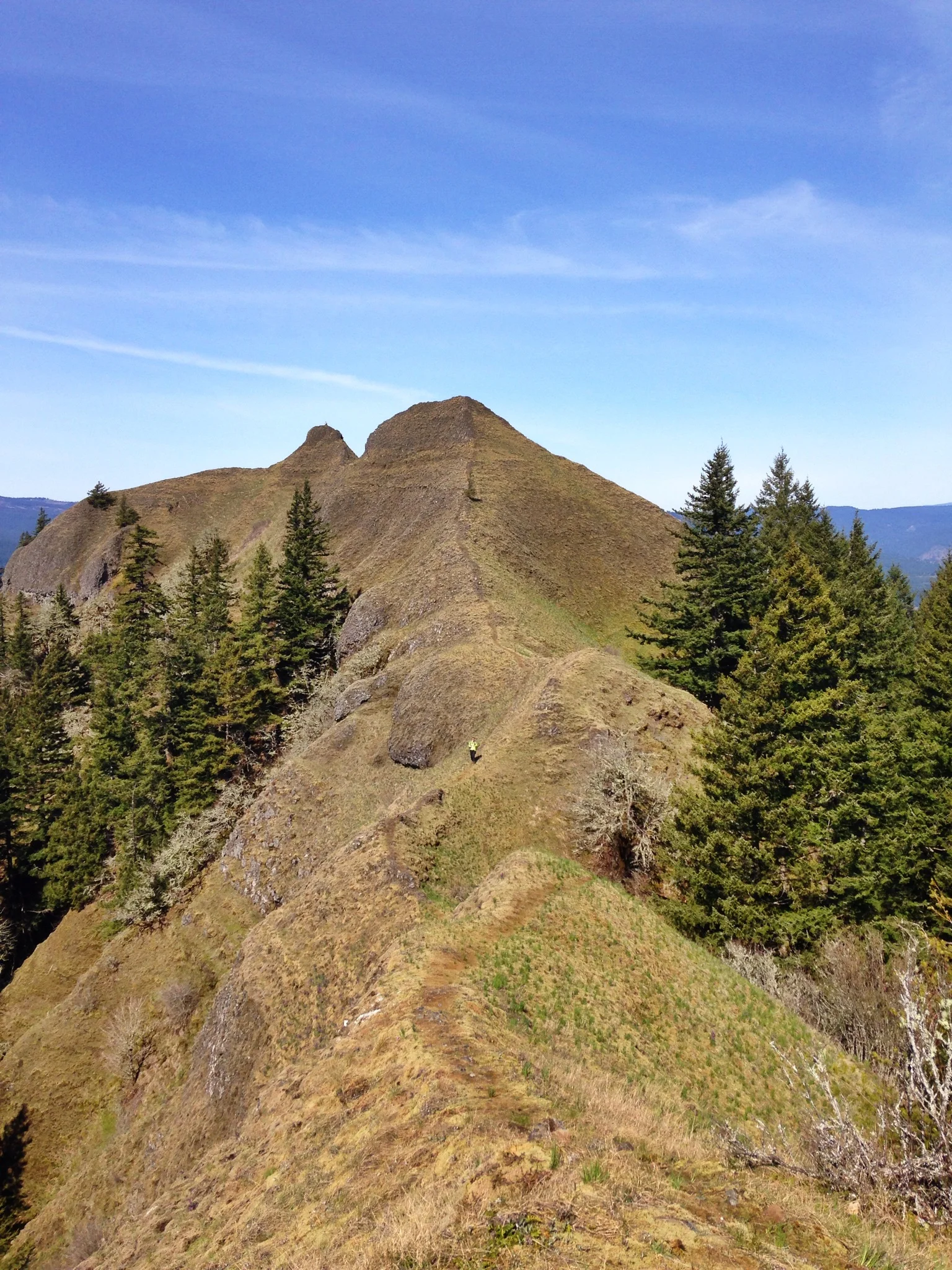 IMG_8496.JPG