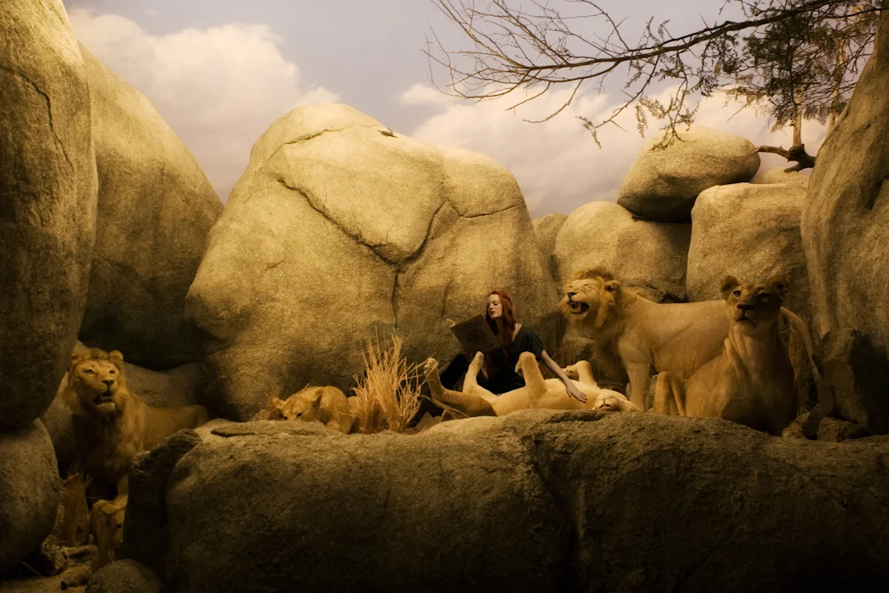 Allie_Lion1211_COL.jpg