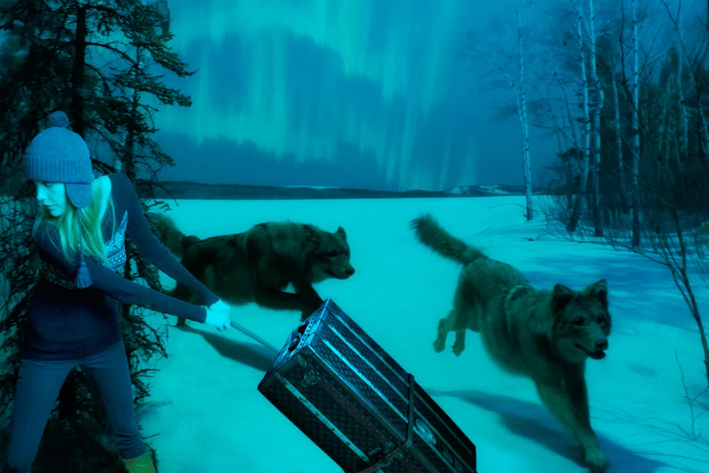 Emily_Wolf6409_COL.jpg