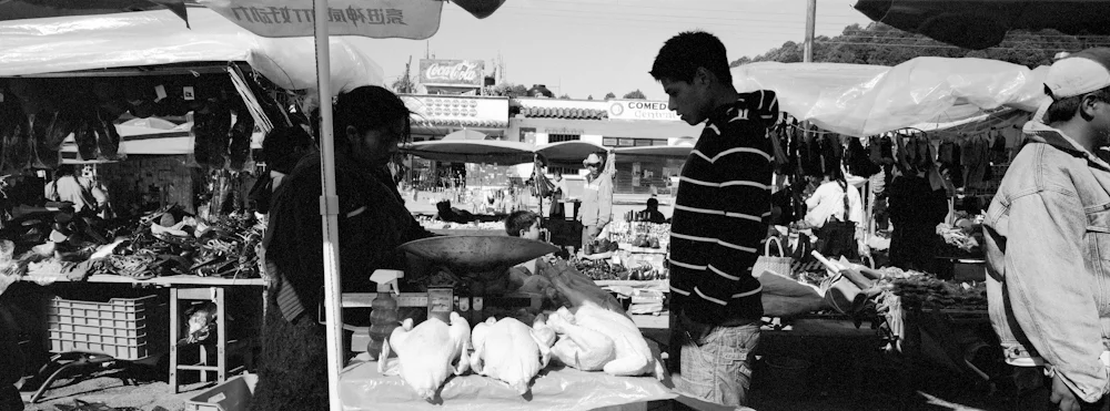 011ChickenBuy_8024_5_R.jpg