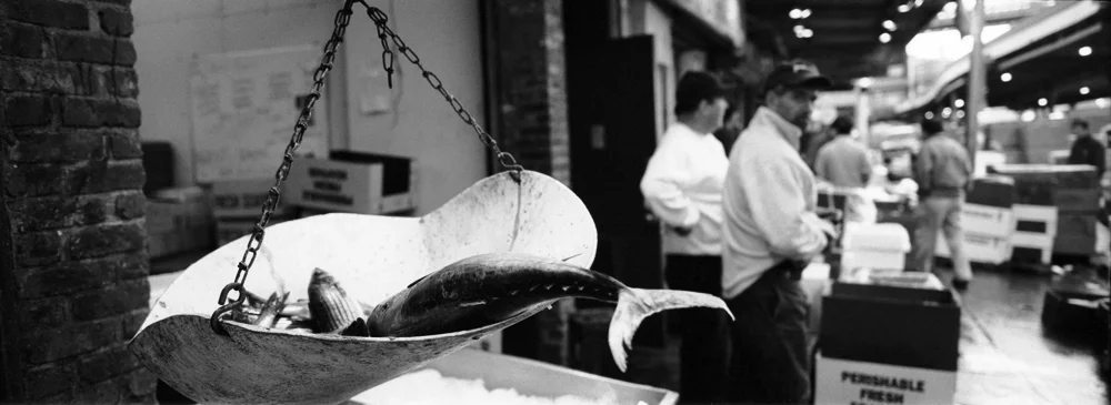 049FishsinScales_6273_21_R.jpg