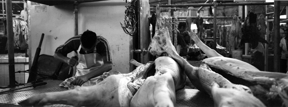 052CutPiggy_0649_19_R.jpg