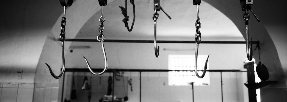 195Hooks_8142_33_R.jpg