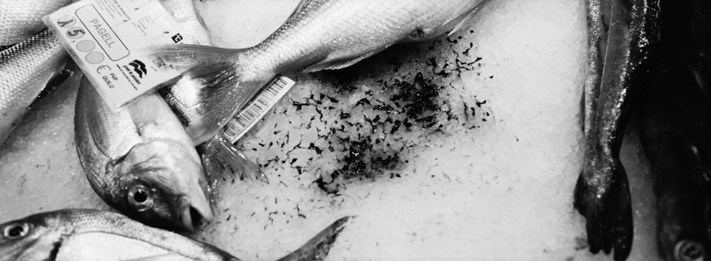 197Fish_2132_21_R.jpg