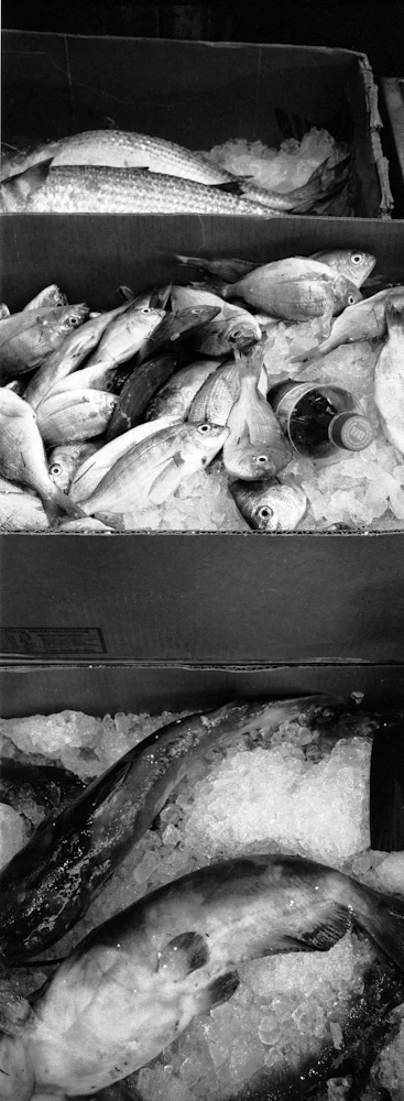 200FishandCoke_6273_10_R.jpg
