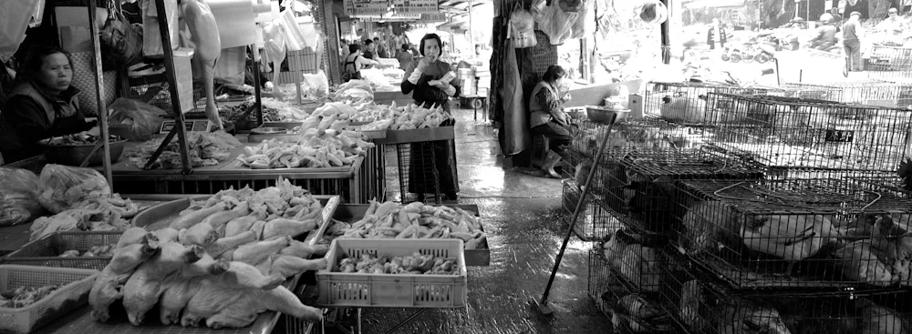 244EatingwithPoultry_6746_10_R.jpg