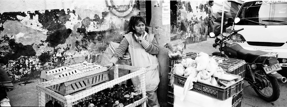 245ChickenLady_8137_26_R.jpg