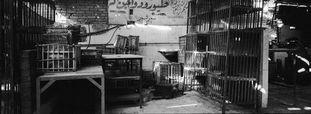 252ChickenCages_2135_32_R.jpg