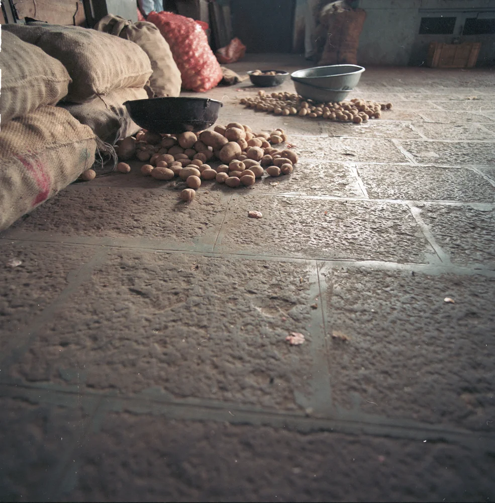 007Potatoes_317748RAJ_9.jpg