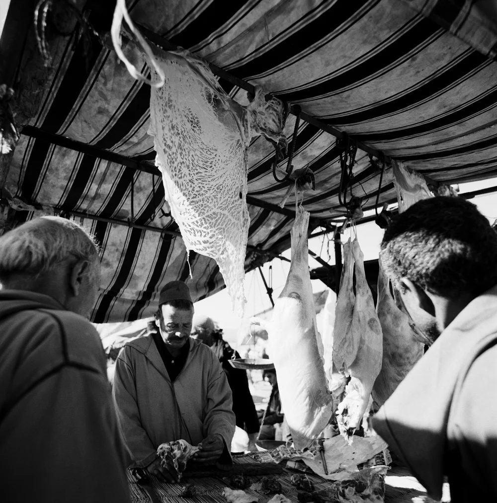 024SheepStomach_2164_4_R.jpg