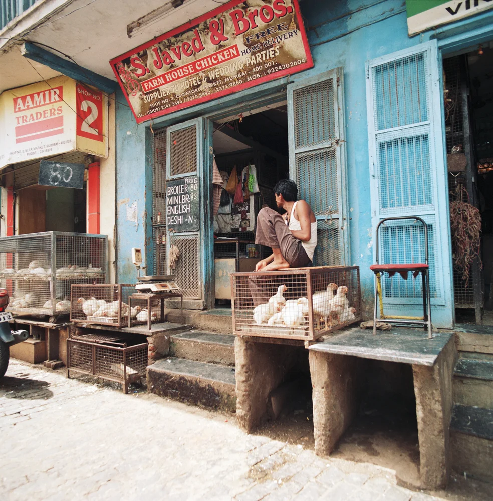 039ChickenVendor_317748MUM1_3_R.jpg