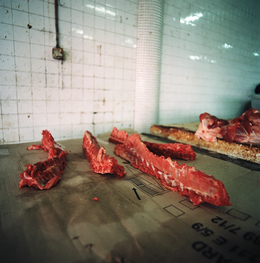 058Ribs_8243_11_R.jpg