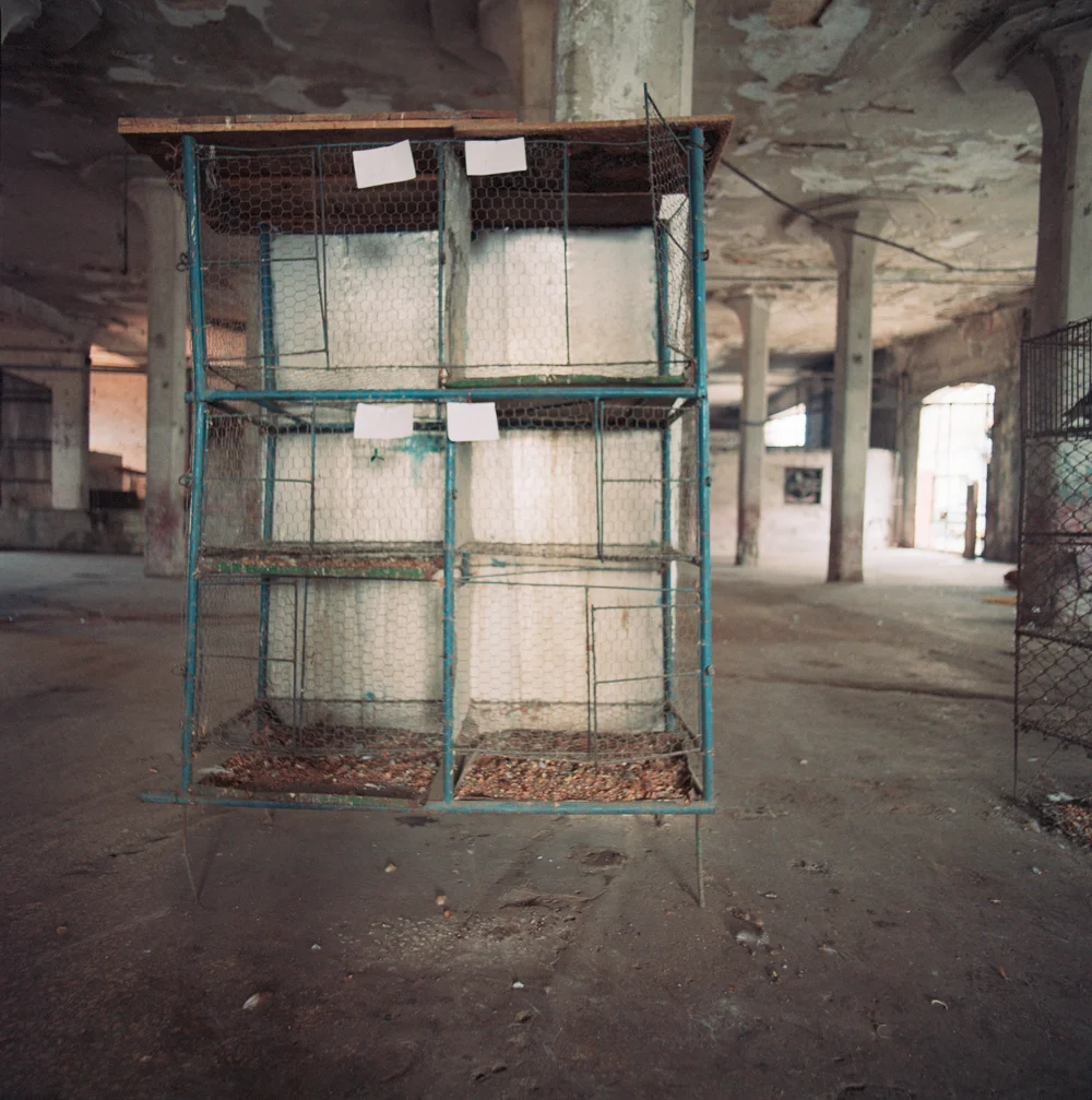 062Cages_304910_10_8_R.jpg