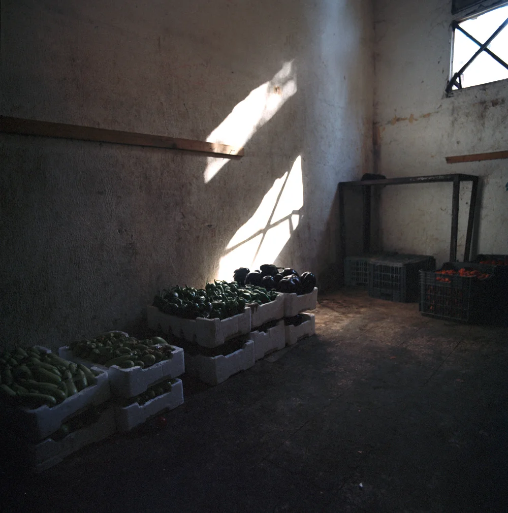 064Veg_8253_4_R.jpg