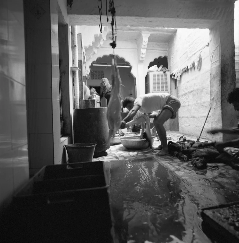 079GoatSkinning_317748JOD_5_R.jpg