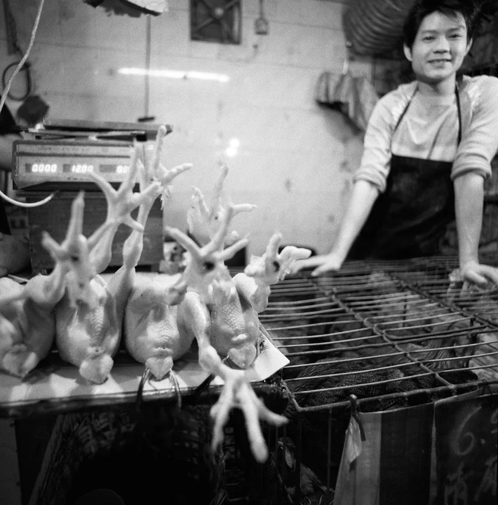 081ChickenStall_9751_7_R.jpg