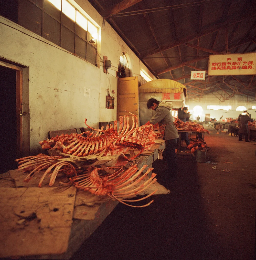 098Bones_3970_11_R.jpg