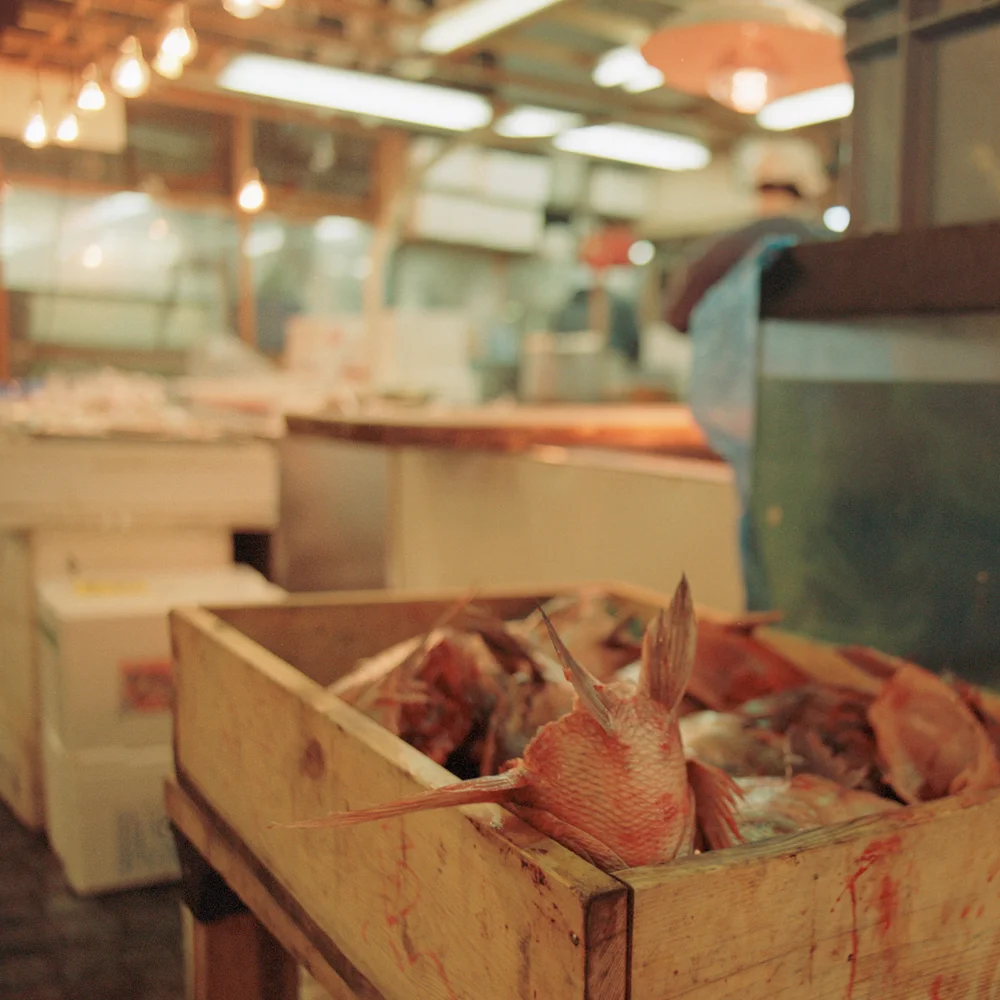101FishHeads_23431_10_R_Crop.jpg