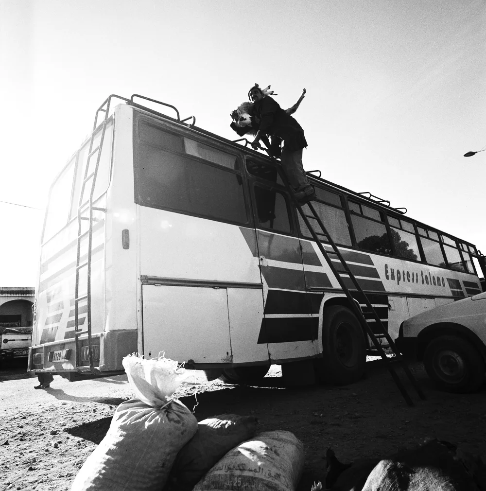 128SheepBus_2154_2_R.jpg