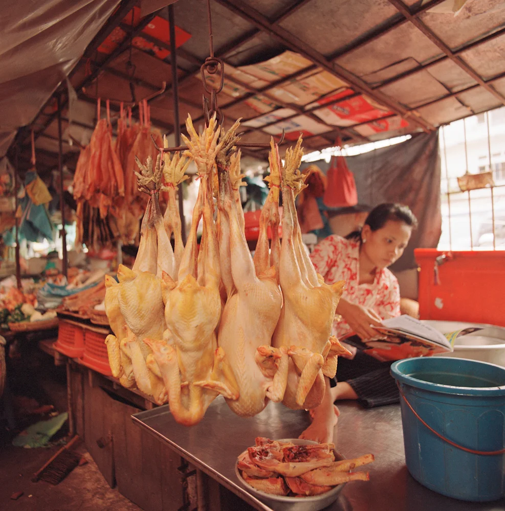 135ChickenMagazine_39658_12_R.jpg