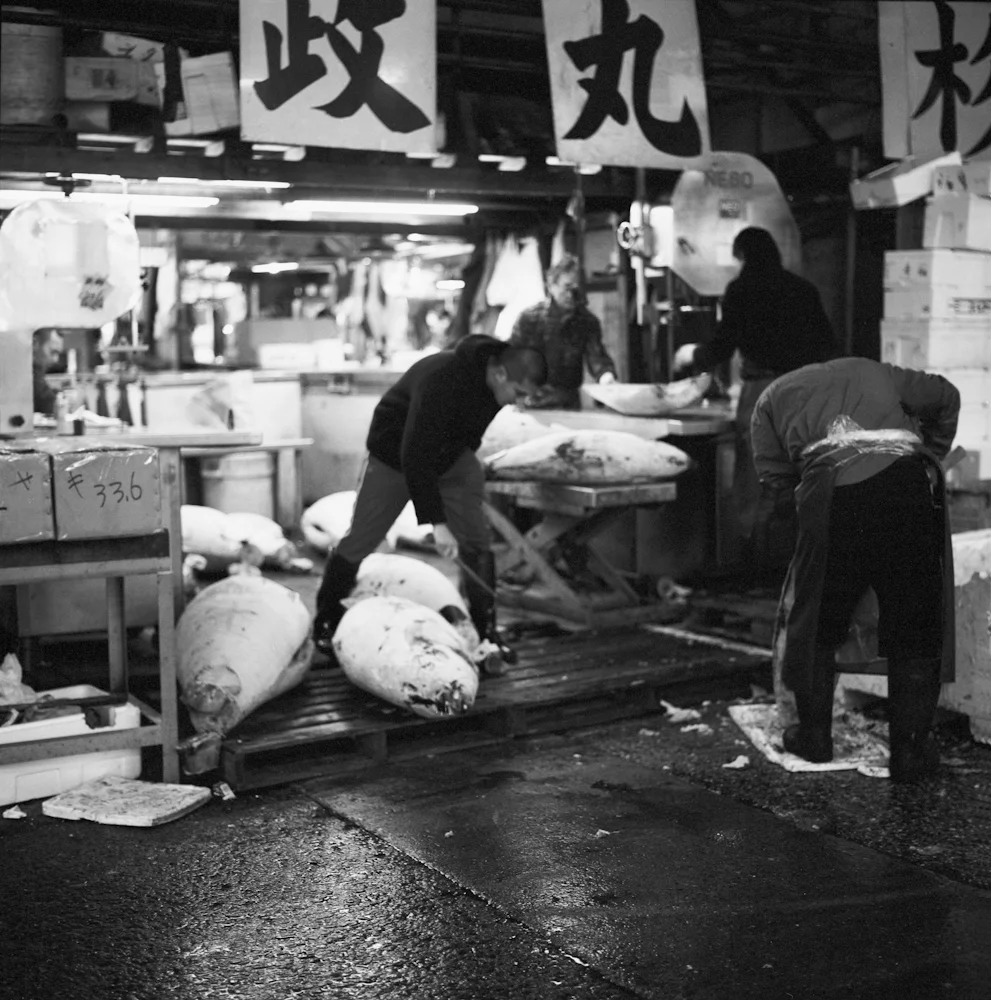 147Fisherman_4626_10_R.jpg