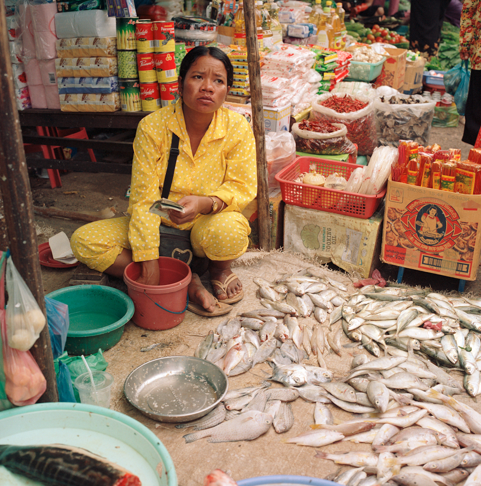 171FishMoney_39658_5_R.jpg