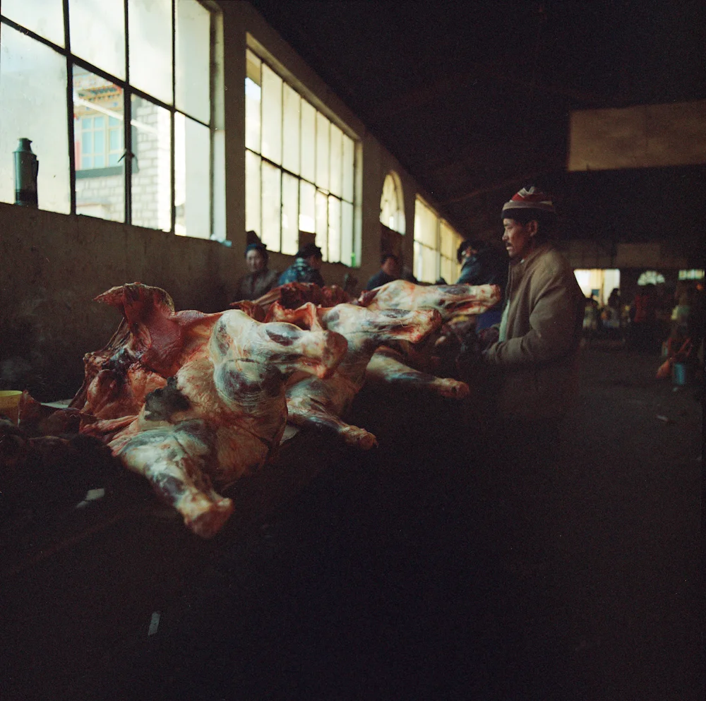 202Carcass_3970_7_R.jpg
