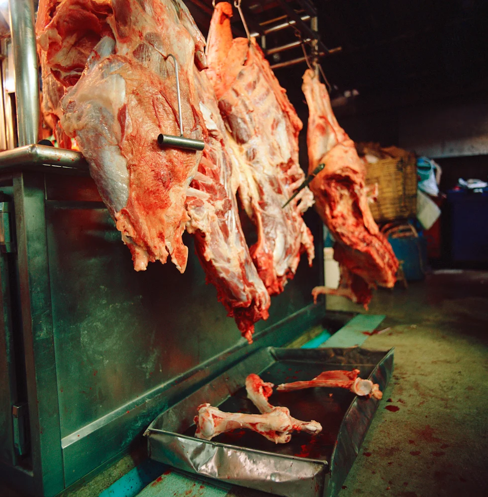204SideofBeef_39665_5_R_PRT.jpg