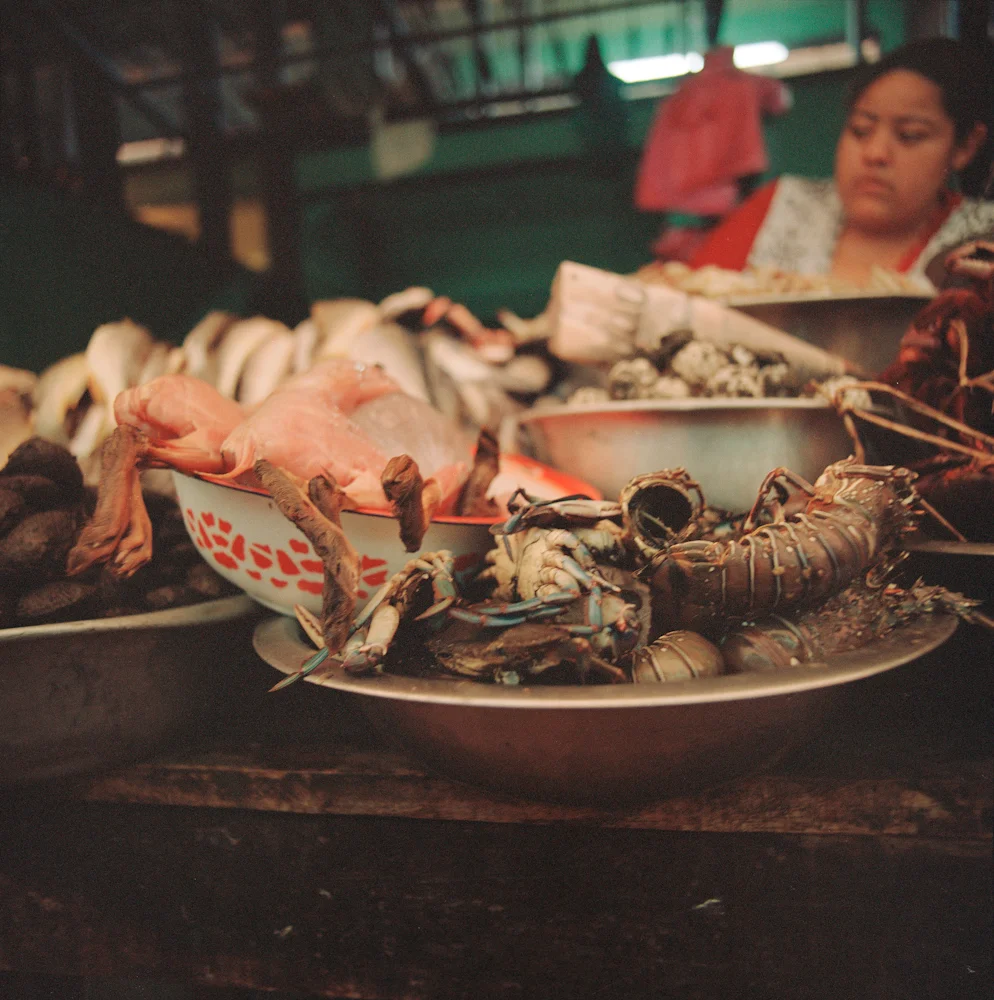 205SeaFood_CA12_7_R.jpg