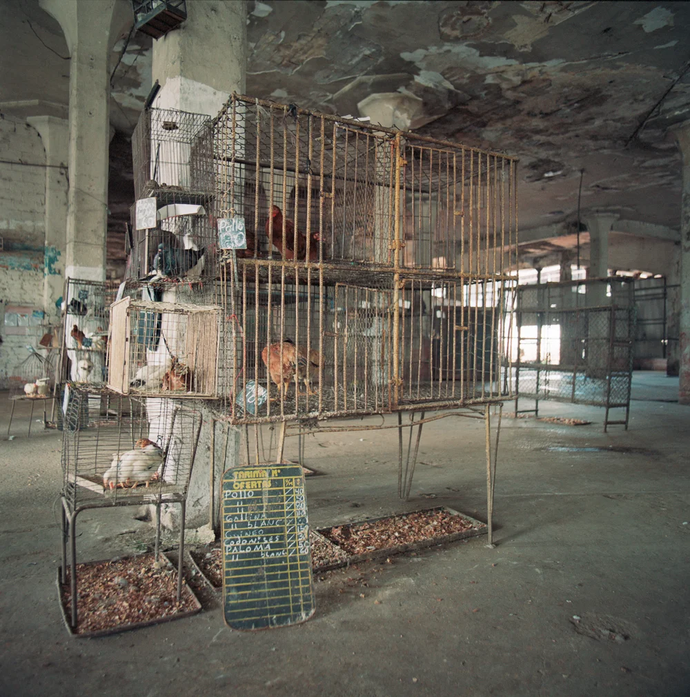 209Cages_304910_10_7_R.jpg