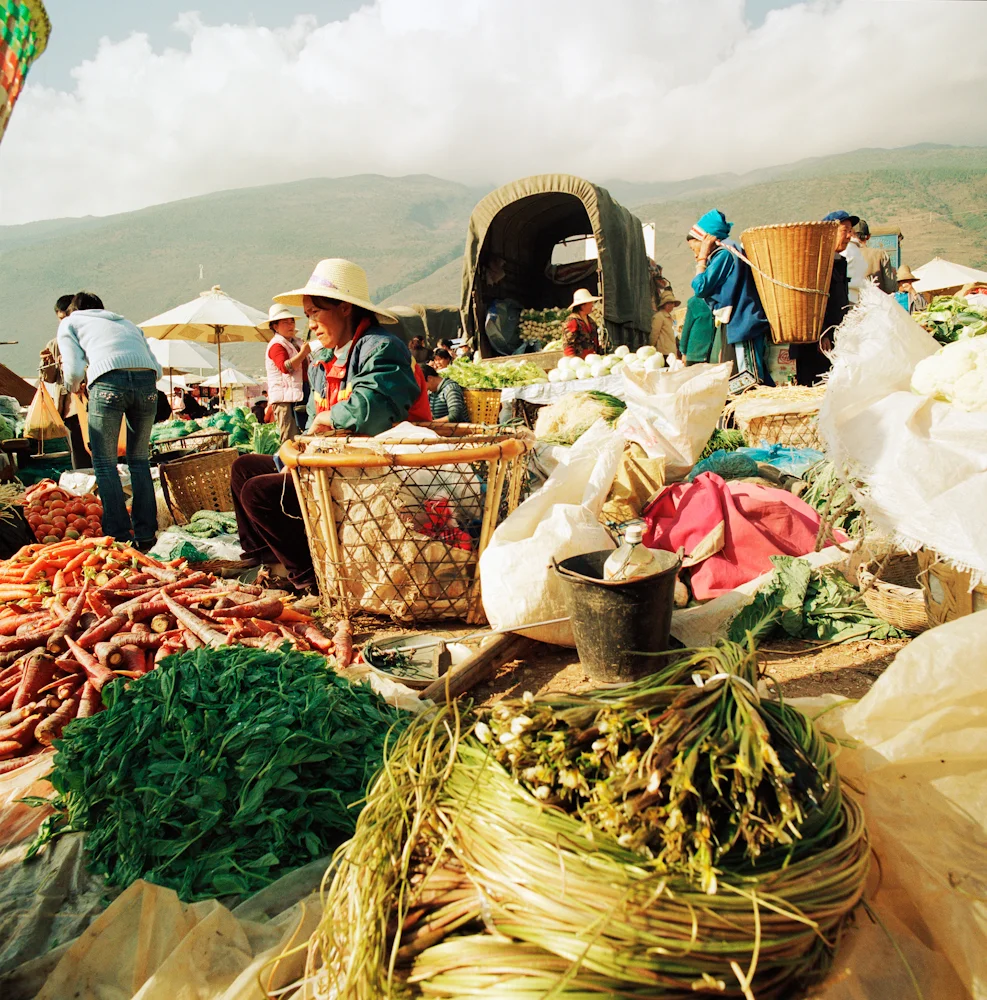 238VegVendor_3976_8_R.jpg