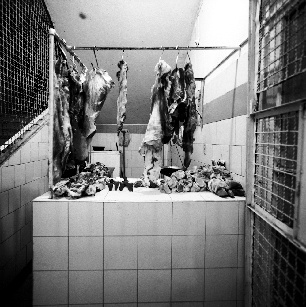 256Stall_8153_3_R.jpg