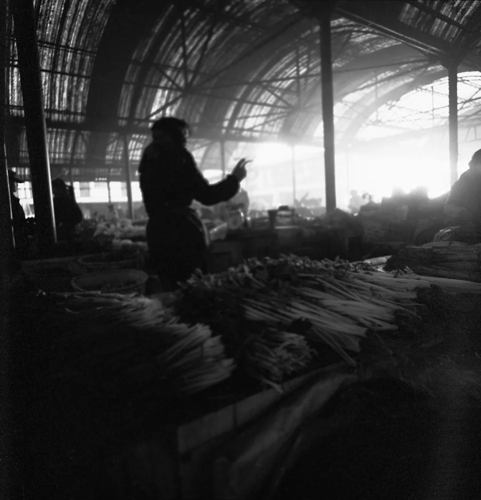 261MeatCounter_3980_7_R.jpg