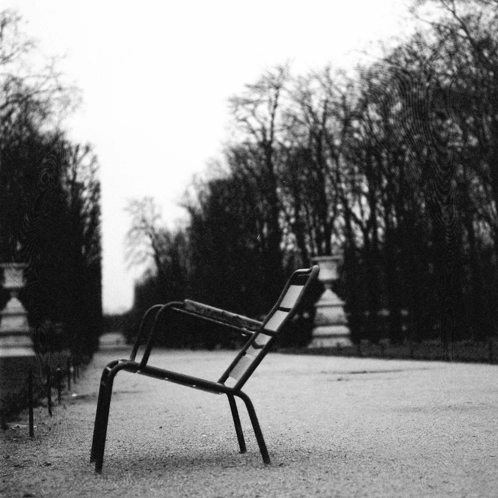 Chair in Park 2.jpg
